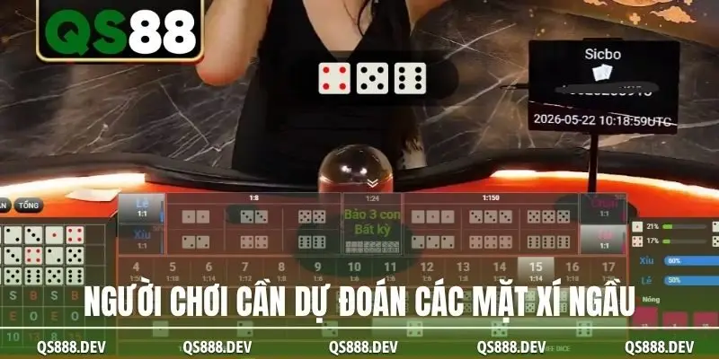 Người chơi cần dự đoán các mặt xí ngầu