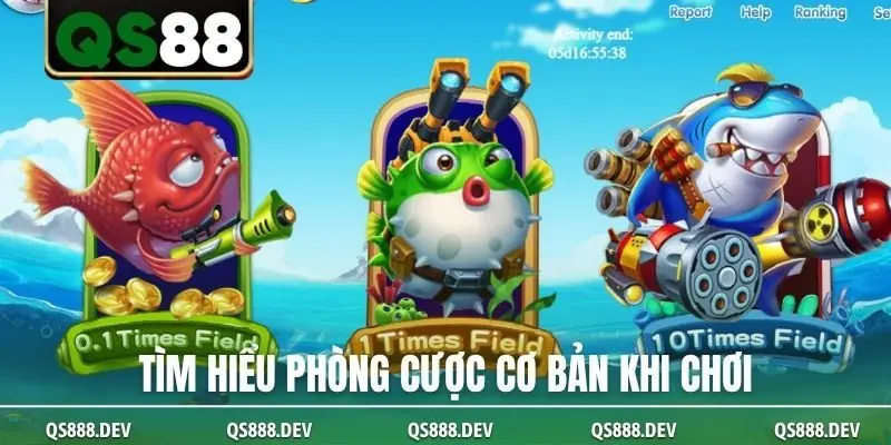 Tìm hiểu phòng cược cơ bản khi chơi